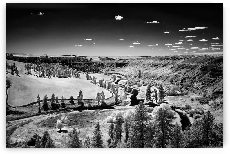 Valley in Hidden Palouse II by Images By Jon Evan