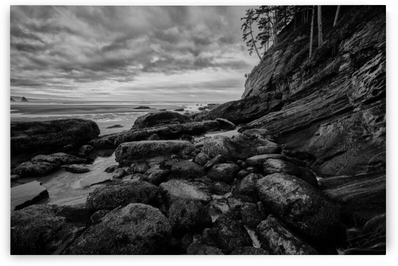 Smugglers  Cove in the Morning II by Images By Jon Evan