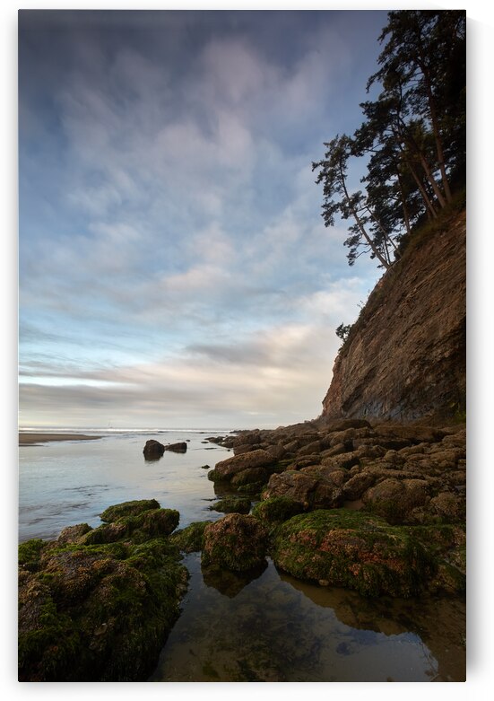 Shore in Oregon by Images By Jon Evan