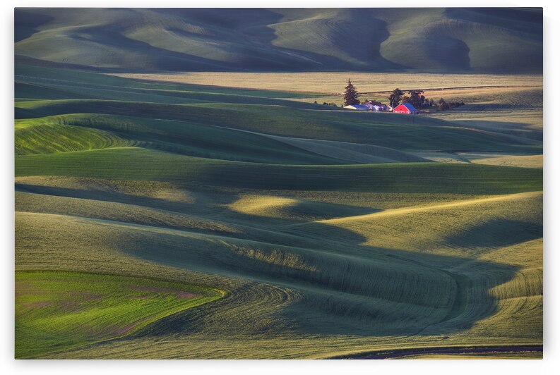 Isolated Barn in the Palouse by Images By Jon Evan
