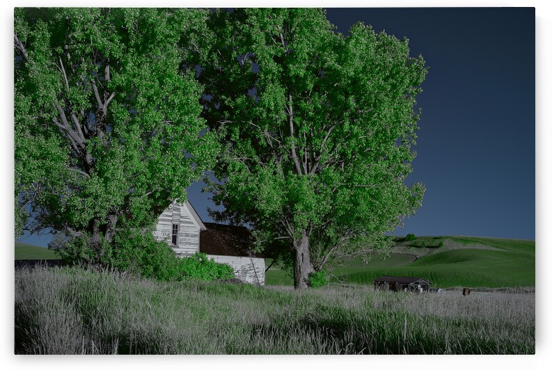House in the Palouse by Images By Jon Evan
