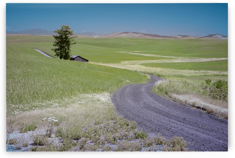 The Real Palouse by Images By Jon Evan