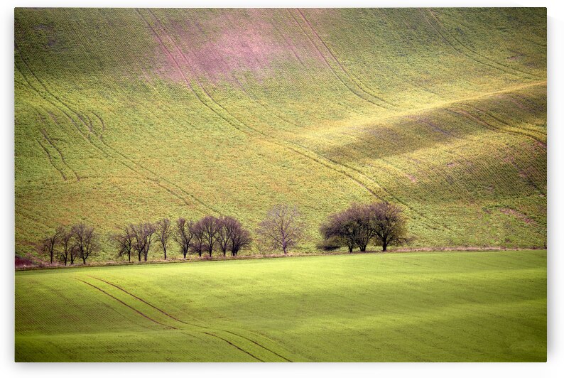 Green Valley in Czech Republic by Images By Jon Evan