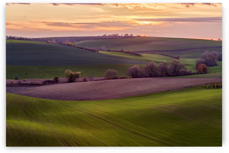 Sunrise in South Moravia by Images By Jon Evan