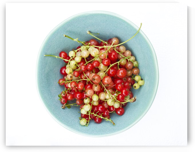 Red and Green Current in Blue Bowl on White by Iris H Richardson