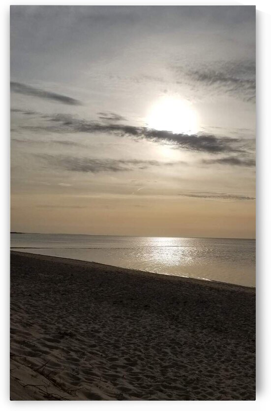 facebook 1659052387052 6958570063229877592 by Rochelle Marcus