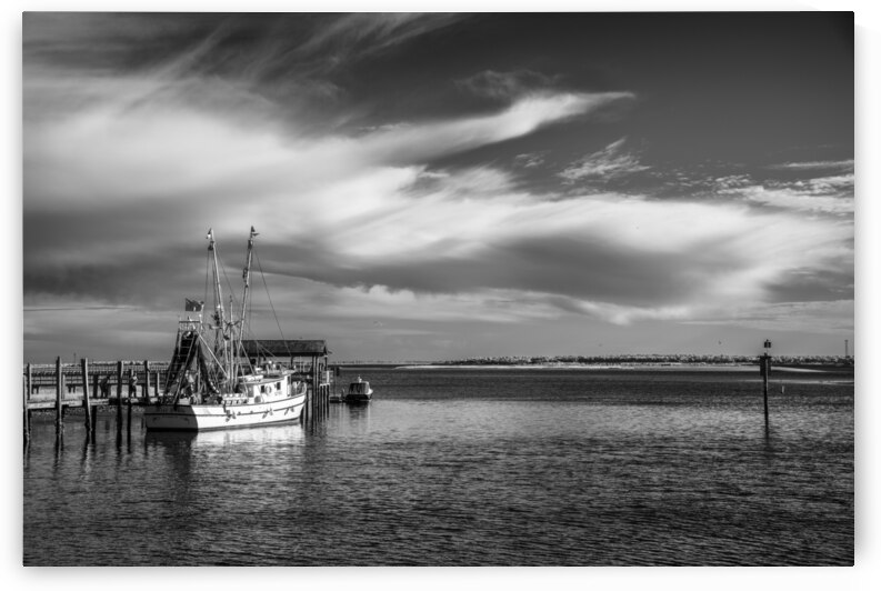 Shrimping in Shemp by Images By Jon Evan