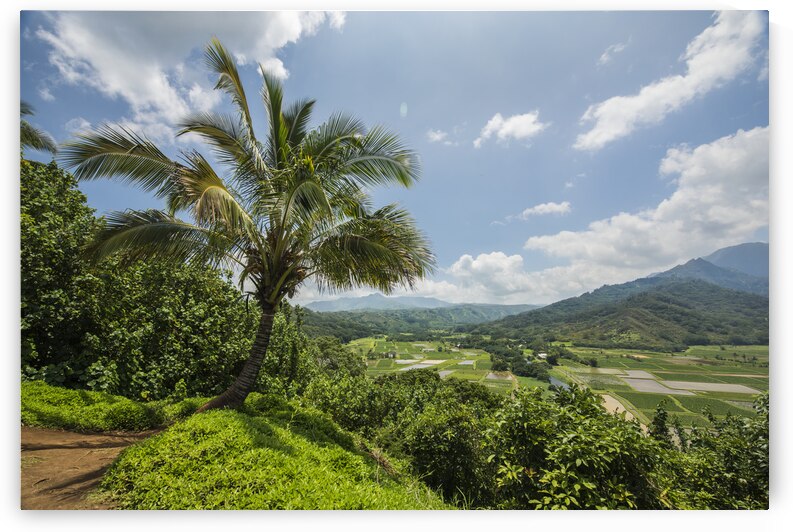 Hanalei Overlook by Images By Jon Evan