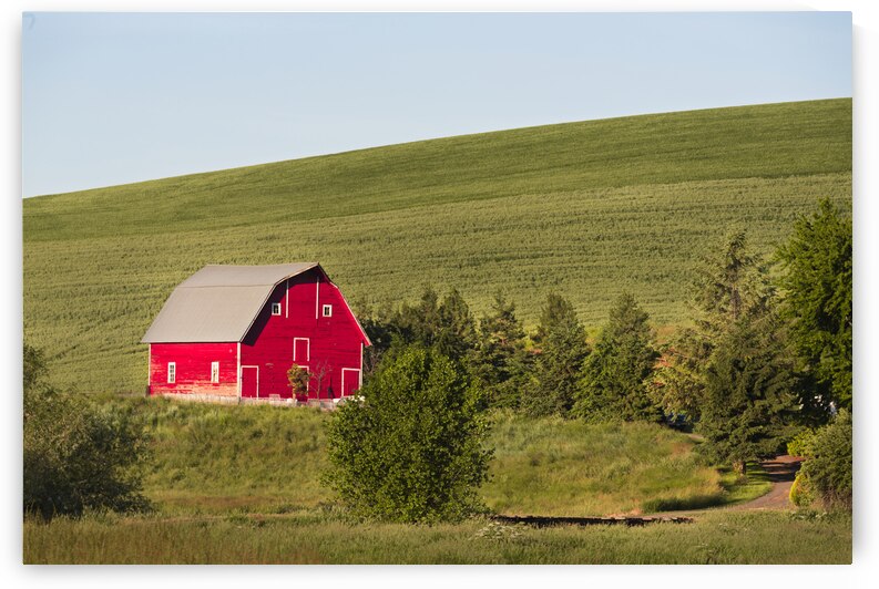 Barn on the Hill by Images By Jon Evan