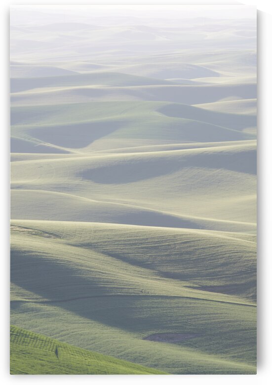 The Palouse Again by Images By Jon Evan