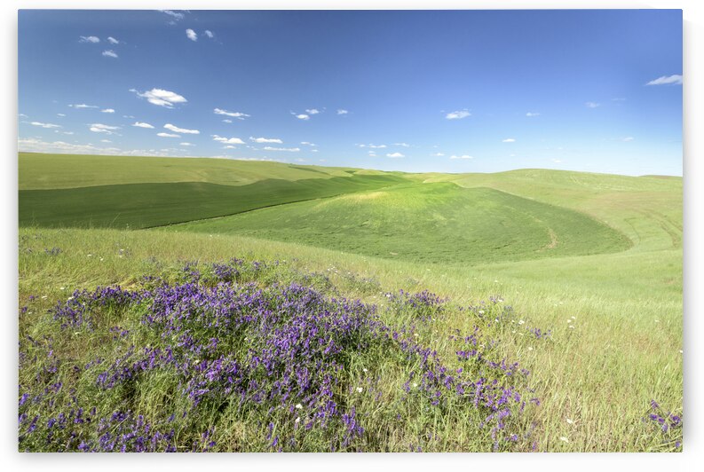 Stroll the Farm by Images By Jon Evan