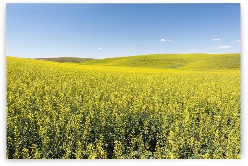 Non Fiction by Images By Jon Evan