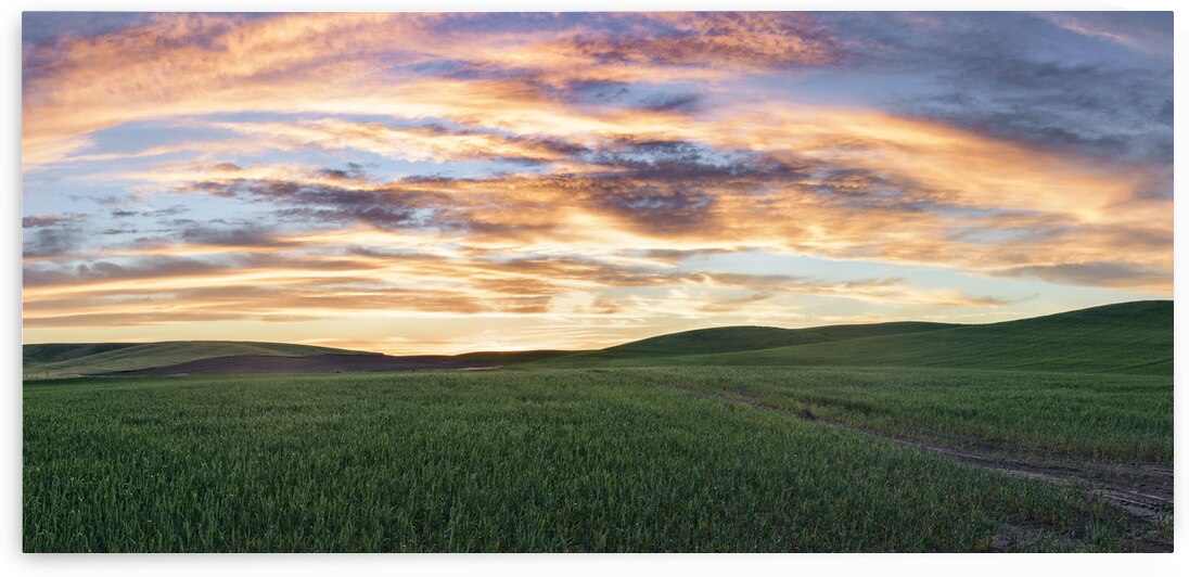 Sky on the Palouse by Images By Jon Evan