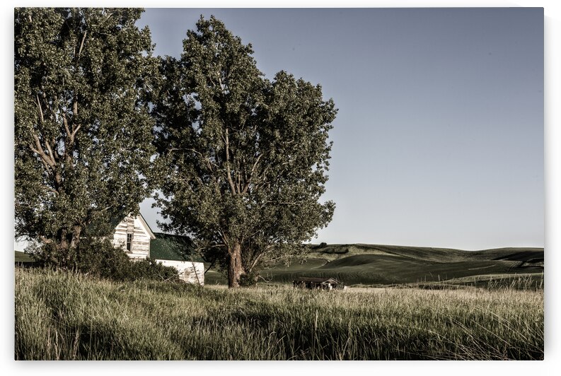 Old House on the Palouse II by Images By Jon Evan