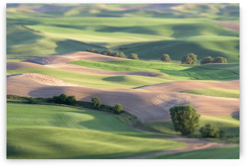 Playtime in the Palouse by Images By Jon Evan