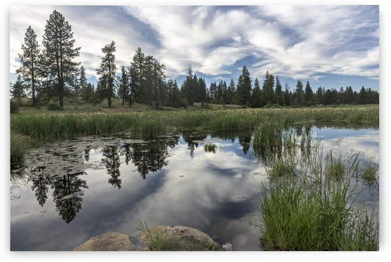 Take the Time by Images By Jon Evan