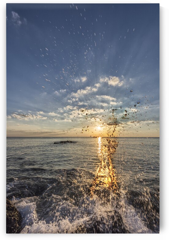 Sarasota Splash by Images By Jon Evan
