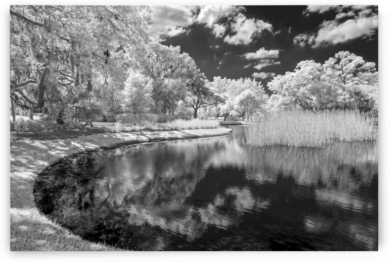 Afternoon at the Museum by Images By Jon Evan