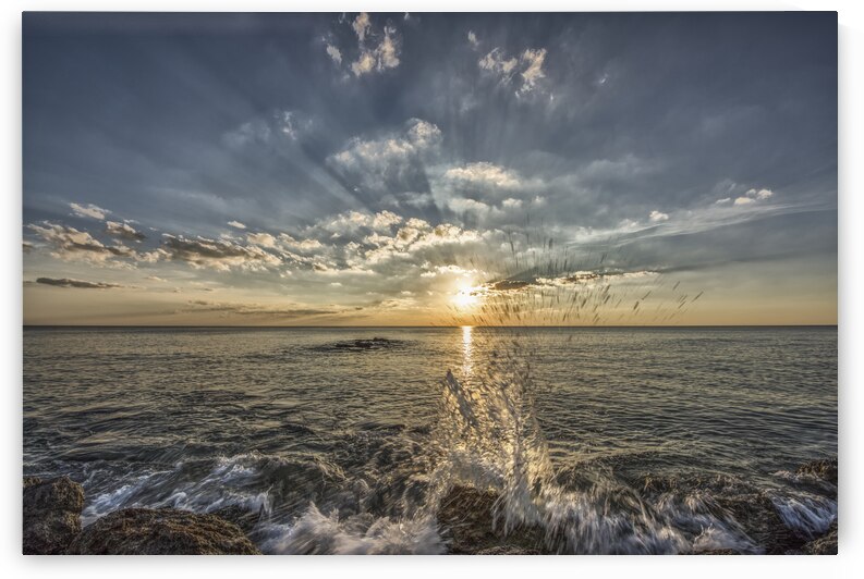 Your My Sun by Images By Jon Evan