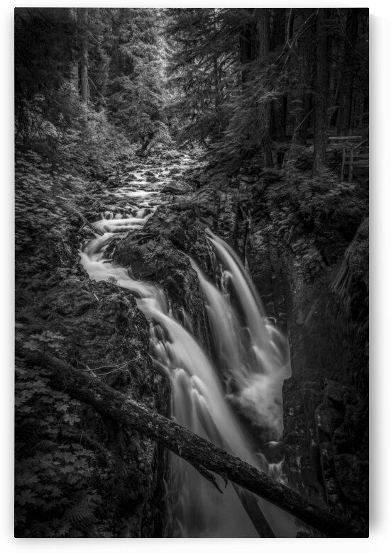 Sound of Strength by Images By Jon Evan