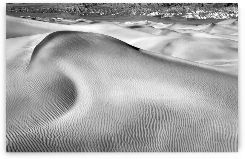 Without Life by Images By Jon Evan