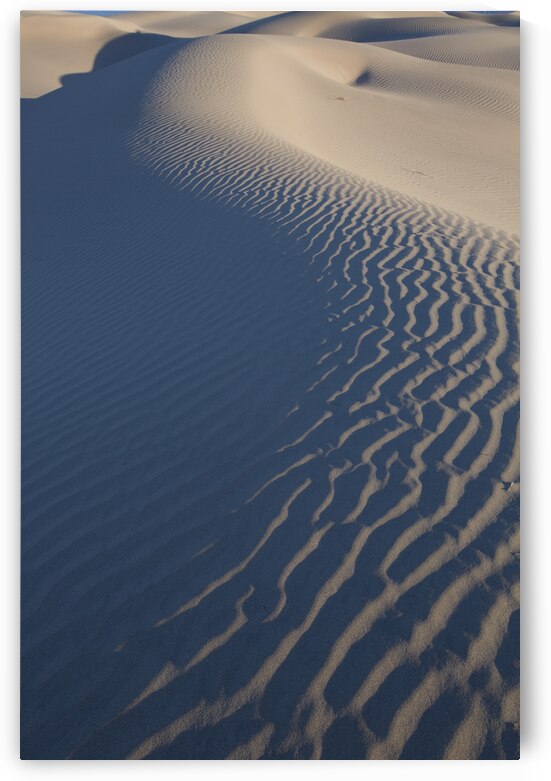 Dunes in Shadow by Images By Jon Evan