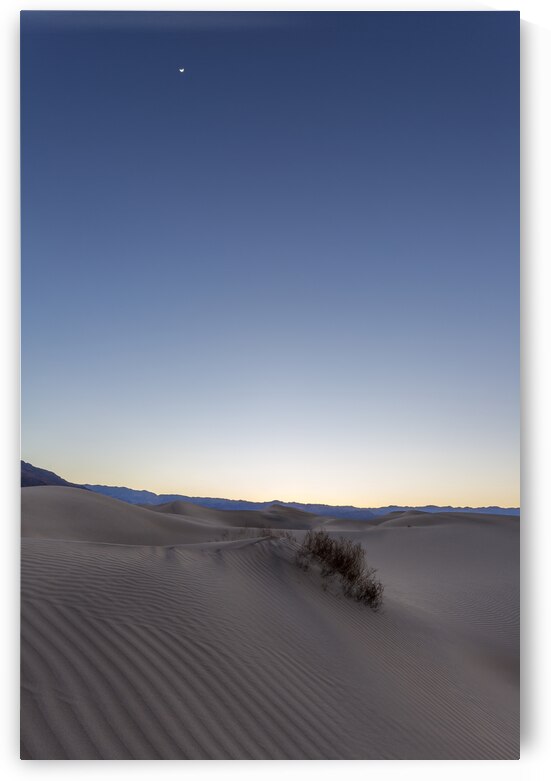 Moon in the Desert by Images By Jon Evan