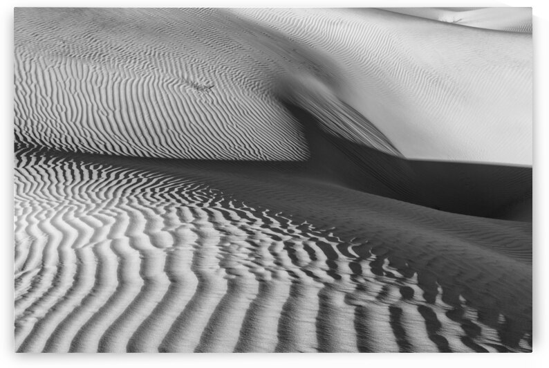 Torso by Images By Jon Evan