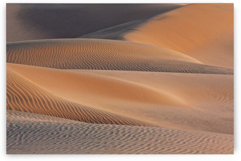 A Walk to Take by Images By Jon Evan