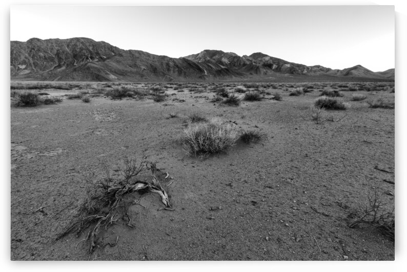 The Desert Floor by Images By Jon Evan