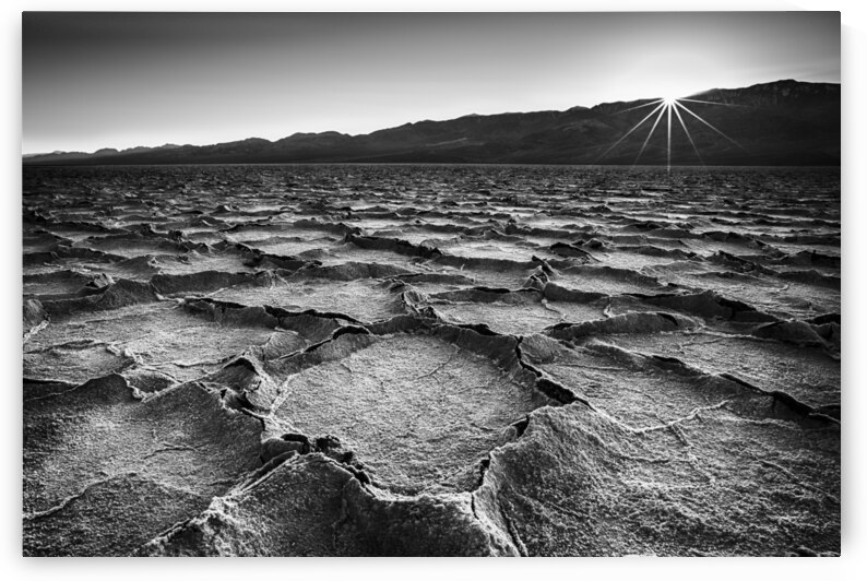 A Last Moment by Images By Jon Evan