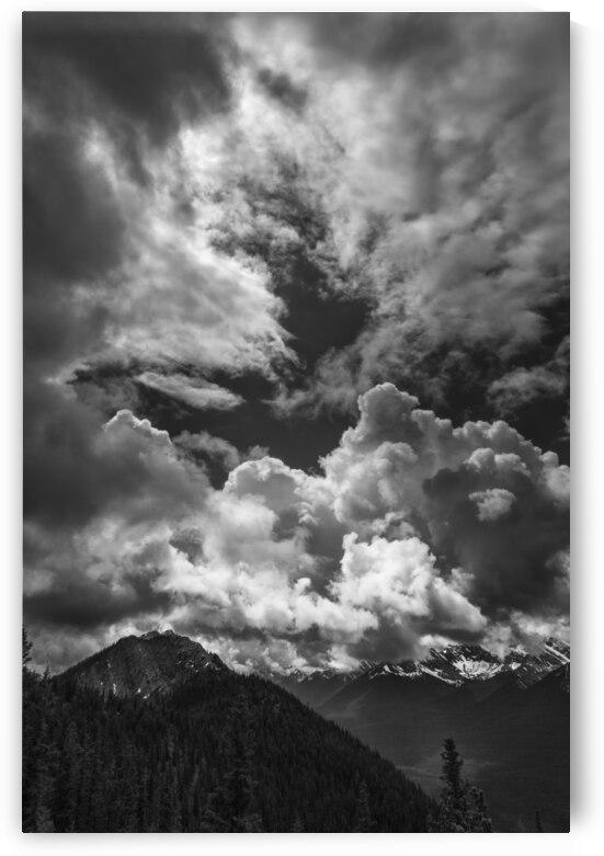 Save the Light by Images By Jon Evan