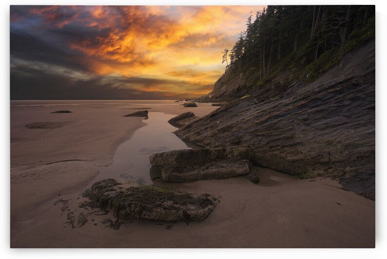 Oswald Park at Dusk by Images By Jon Evan