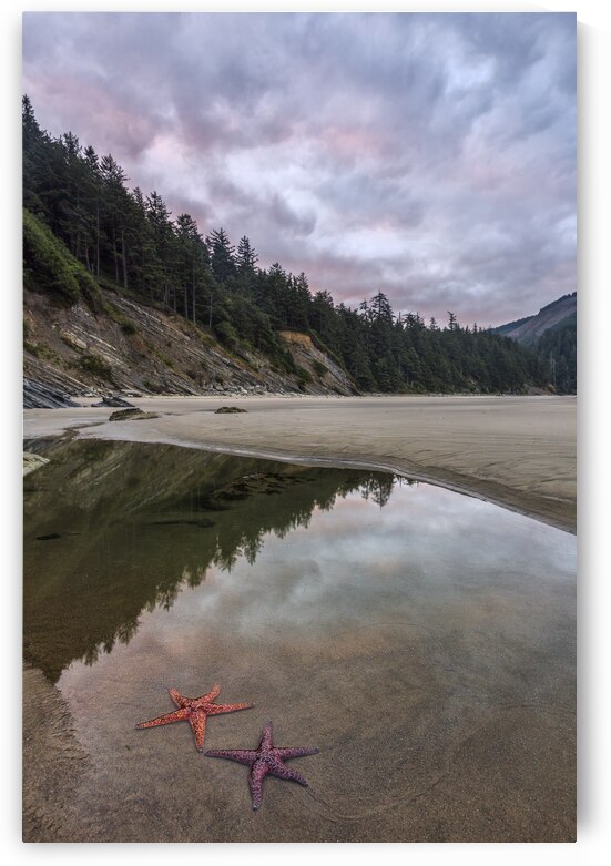 Two Stars in Daylight by Images By Jon Evan