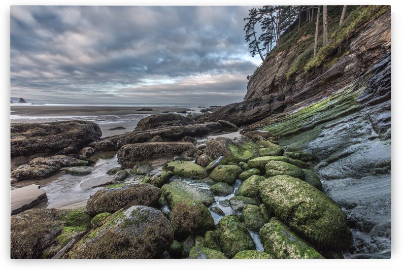 Green Stone Shore by Images By Jon Evan