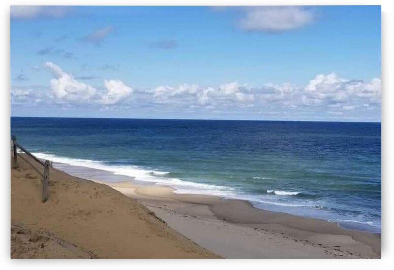 facebook 1684784867281 7066499907976207655 by Rochelle Marcus