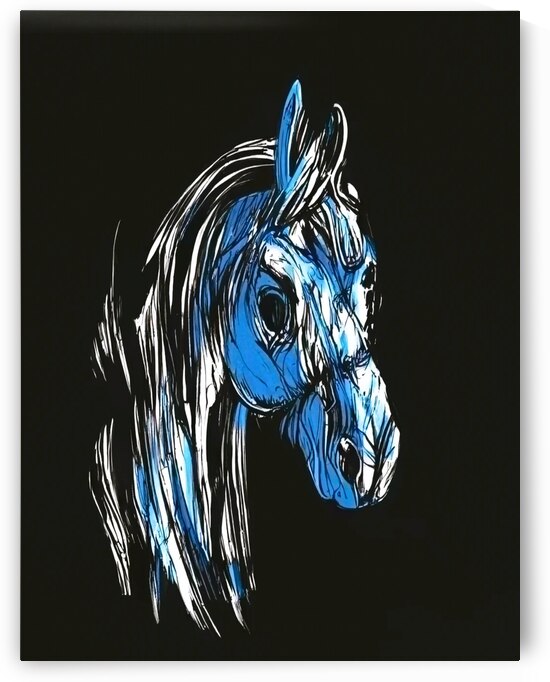 The magic horse by Aroness