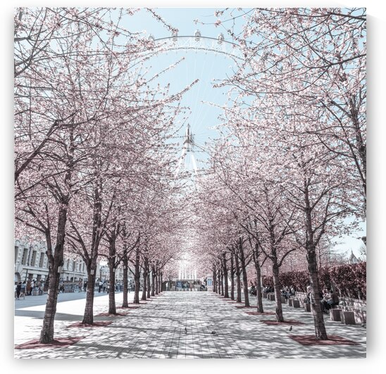 Millennium Wheel by Assaf Frank