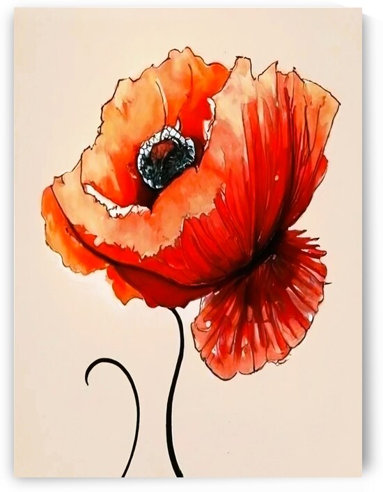 red poppy in the field by Aroness