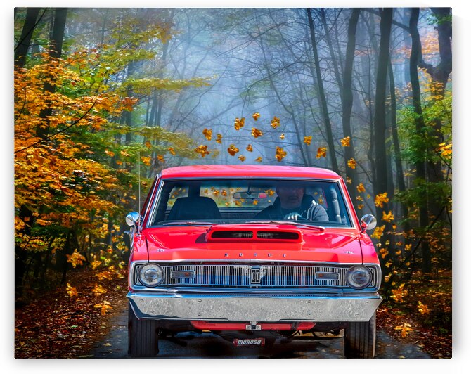 Autum dart portrait by Dyslensic Visuals