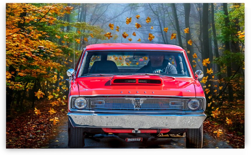 Autum Dart landscape by Dyslensic Visuals