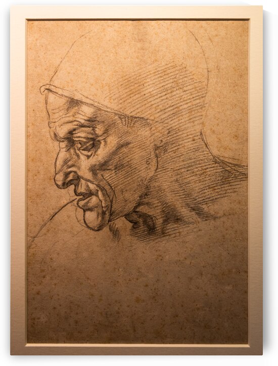 Michelangelo Buonarroti drawing Study for the head of the Cumae by Paolo Modena