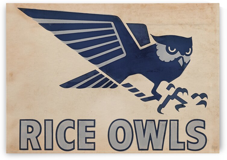 Vintage Rice Owl Art by Row One Brand