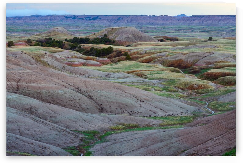 South Dakota Badlands and Colorful Morning Grasslands by Bo Insogna