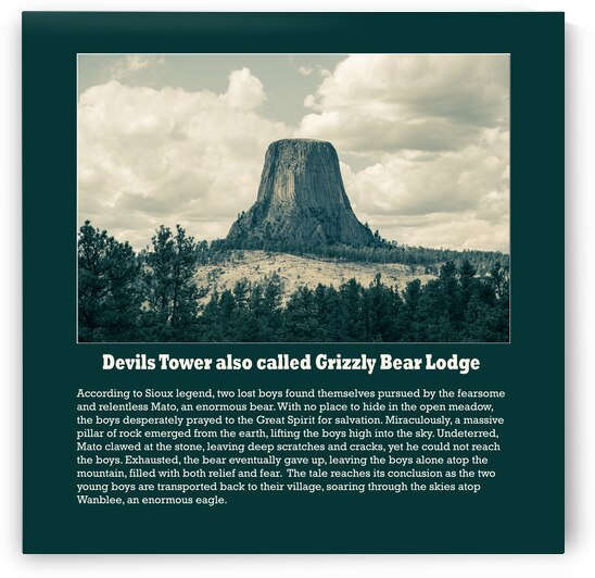 Devils Tower also called Grizzly Bear Lodge Poster by Bo Insogna