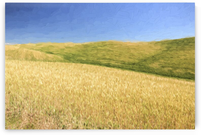  A Quiet Walk II   by Images By Jon Evan