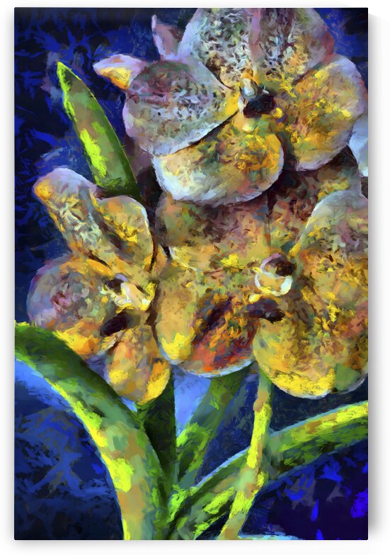  flowers  3 by Images By Jon Evan