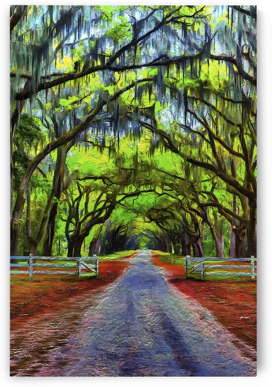 Gated Wormsloe Plantation II by Images By Jon Evan