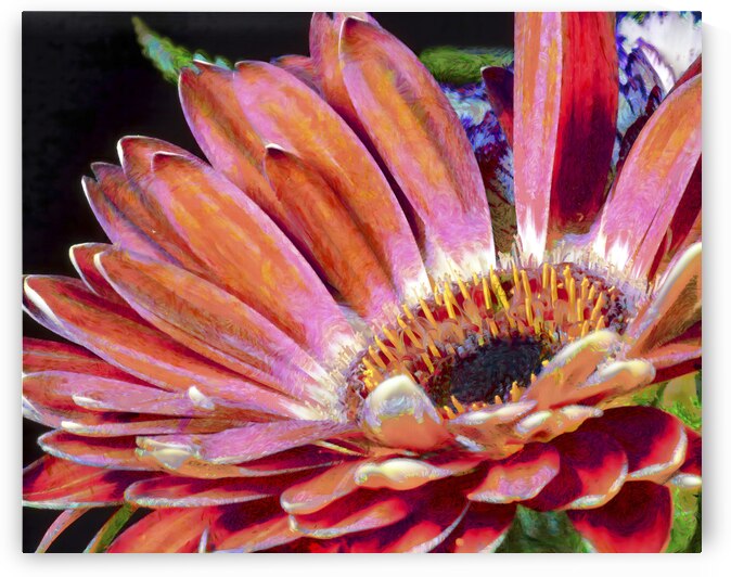 flowers 0655 by Images By Jon Evan