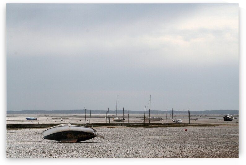 bassin d arcachon en avril  ....  ... arcachon basin in april  by Stef44